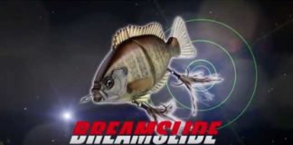 2016年度の新製品PVが公開!! (エバーグリーン) 4