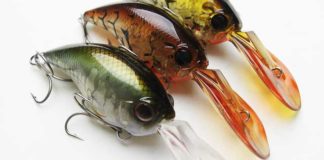 瀬田川へ (2016年 1月30日) 25