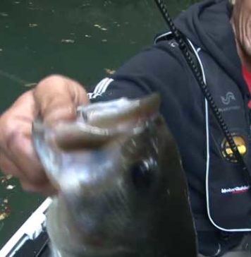 タフコンディションの七川ダムを攻略!! (深江真一) タフコンディションの七川ダムを攻略!! (深江真一) 2