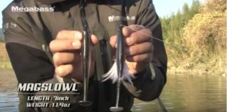 新スイムベイトの紹介!! (メガバス) 5