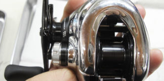 瀬田川へ (2016年 1月10日) 17