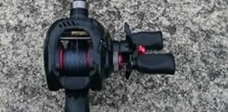 未知(バス)との遭遇 (bv六文銭) 2016年 1