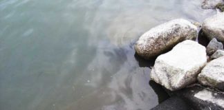 瀬田川へ (1月22日) 24