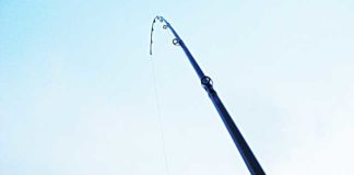 瀬田川へ (2016年 1月13日) 1