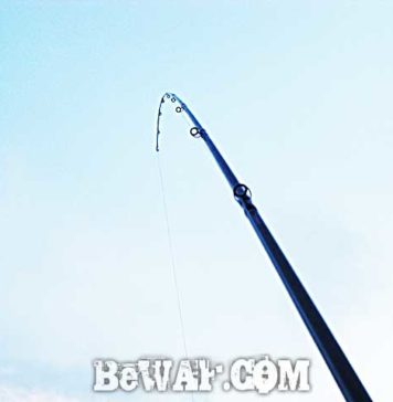 瀬田川へ (2016年 1月13日) 1