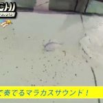 新シャロークランクの紹介!! (TIEMCO) 1