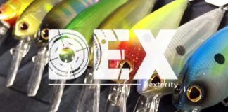 新ハードベイトシリーズ "DEX"の紹介!! (バークレイ) 8