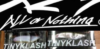 ディビジョン・タイニークラッシュ入荷!! (つり具のブンブン大津店) 1