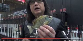 新ビックスライドベイト"ブリムスライド"を紹介説明!! (エバーグリーン) 1