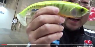 ダンクルの紹介＆説明!! (ジャッカル) 1