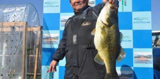 tweet釣果：カットテールで 59cm!! (琵琶湖) 1