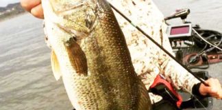 冬のバスをメタルバイブで攻略!! ~ボート編~ (伊藤巧) 3