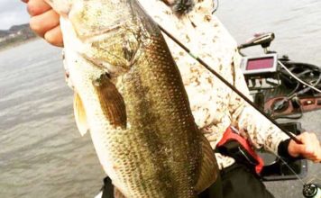 冬のバスをメタルバイブで攻略!! ~ボート編~ (伊藤巧) 冬のバスをメタルバイブで攻略!! ~ボート編~ (伊藤巧) 3