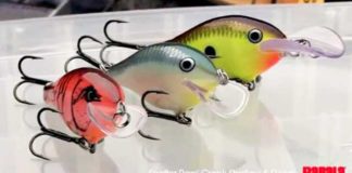 ラパラから発売される"ウワサ"の新製品 2016 4