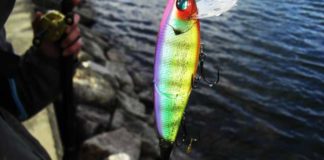 瀬田川へ (2016年 2月8日) 6