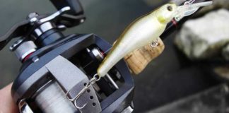 瀬田川へ (2016年 2月1日) 22