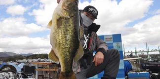 tweet釣果：ド〜ン!! クランクで６０アップ!! (琵琶湖) 