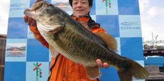 tweet釣果：スイミングジグで５９cm他x２!! (琵琶湖) 