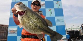 tweet釣果：テキサスで５０アップ!! (西の湖 伊庭内湖) 3