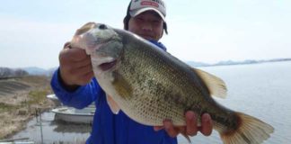 tweet釣果：テキサスで５０アップ!! (西の湖 伊庭内湖) 2