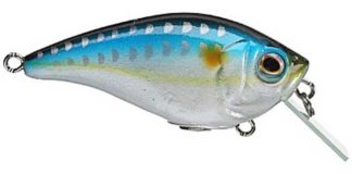 割れないクランク "BD1.5" (キャスティーク) 2