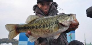 tweet釣果：クランクで５０オーバー!! (琵琶湖) 