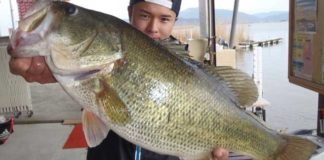 tweet釣果：クランクで５０アップ!! (西の湖) 