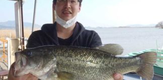 tweet釣果：テキサスで３５アップ!! (西の湖 伊庭内湖) 