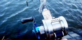 瀬田川へ (2016年 3月26日) 7