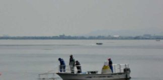 電気ショッカー船はどれくらい強いのか？"black bass electrical extermination in japan"（琵琶湖） 1
