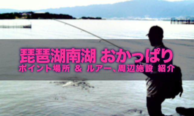 琵琶湖南湖バスフィッシング ポイント写真