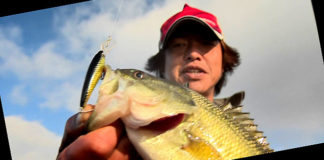 冬のバスをシャッドで攻略!! ~横利根川編~ (山木一人) 3