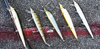 瀬田川へ (2016年 3月2日) 4