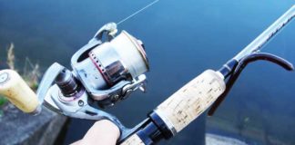 瀬田川へ (2016年 3月17日) 2