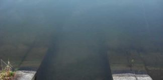 瀬田川へ (2016年 3月17日) 3