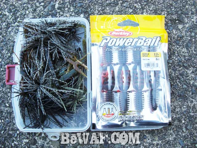 setagawa bass fishing guide 4