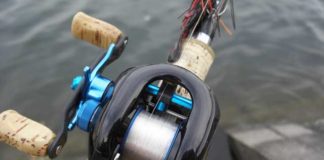 瀬田川へ (3月31日) 3