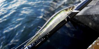 瀬田川へ (2016年 3月11日) 8