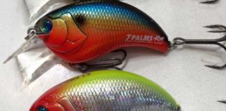 イヴォーク1.2 オリジナルカラーが入荷!! (セブンパームス) 1