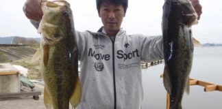 tweet釣果：スピナーベイトで４８,４３cm!! (西の湖 伊庭内湖) 