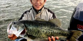 お客様からの釣果：関原様~ネコリグで60cm!! 