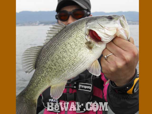 biwako bass fishing guide akanoi8