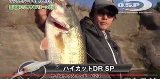 春のワカサギパーン実釣動画!! (折金一樹) 2