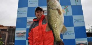 tweet釣果：スタッガーワイドで66.5cm (5150g) (琵琶湖) 