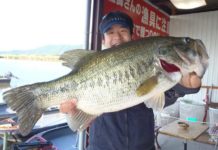 tweet釣果：クロー系テキサスで５４cm!! (西の湖 伊庭内湖) 