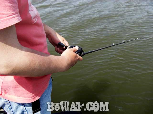 biwako bass fishing guide blog de su8