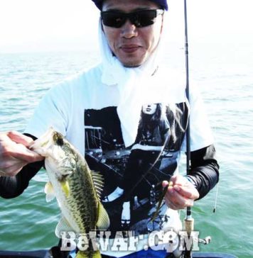 琵琶湖バスフィッシングガイドリポート~里様~ 28cm 10