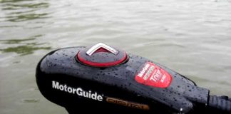 西の湖へ... (5月6日) 5