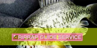 ２０１６年 春 "活躍したワームと使い方 ベスト５" 7