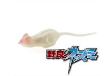 新ネズミ型ルアー "野良ネズミ" (TIEMCO) 1